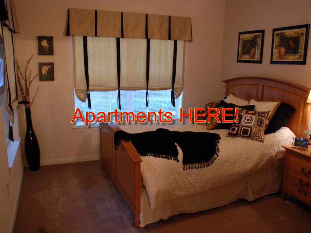 Great location 1, 2  & 3 Bedrooms available!